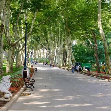公寓 Delightful Sultanahmet I