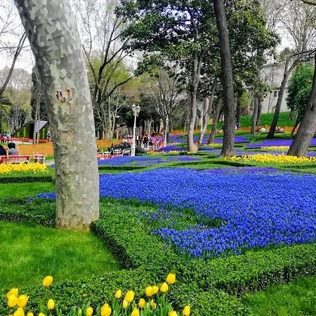 Апартаменты Delightful Sultanahmet I *